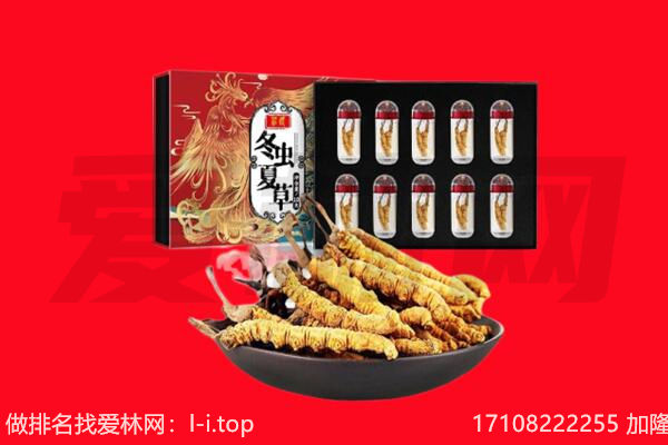泰兴市回收虫草.jpg
